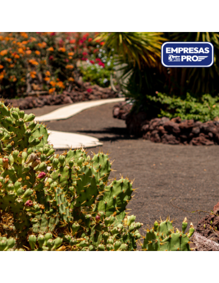 Tierra Vegetal - Jardines saludables
