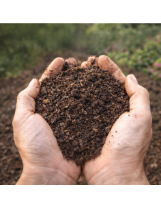 Mezcla Tierra Vegetal + Compost – Mejora de Suelo para Jardinería y Paisajismo 2